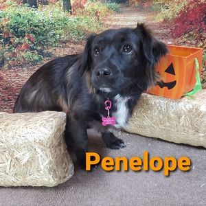 Meet your Posher, April